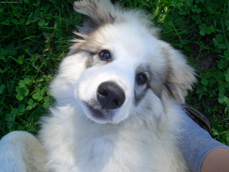 Foto: Inka